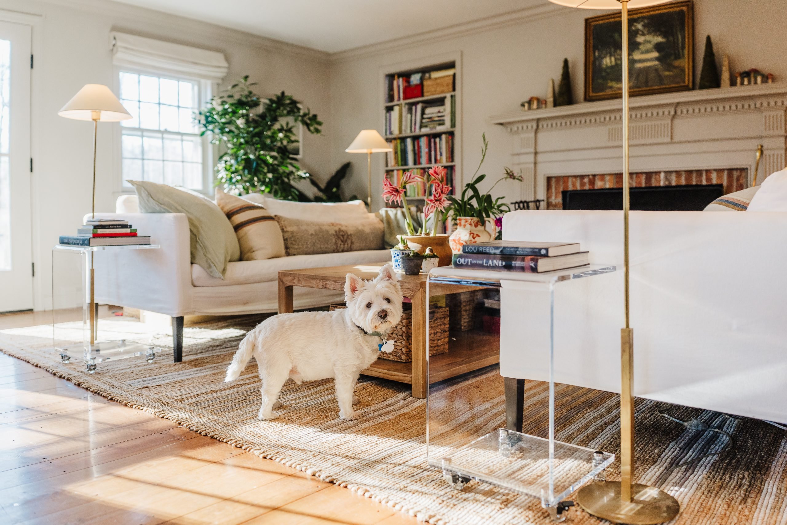 Abbey Nova's Connecticut House Tour