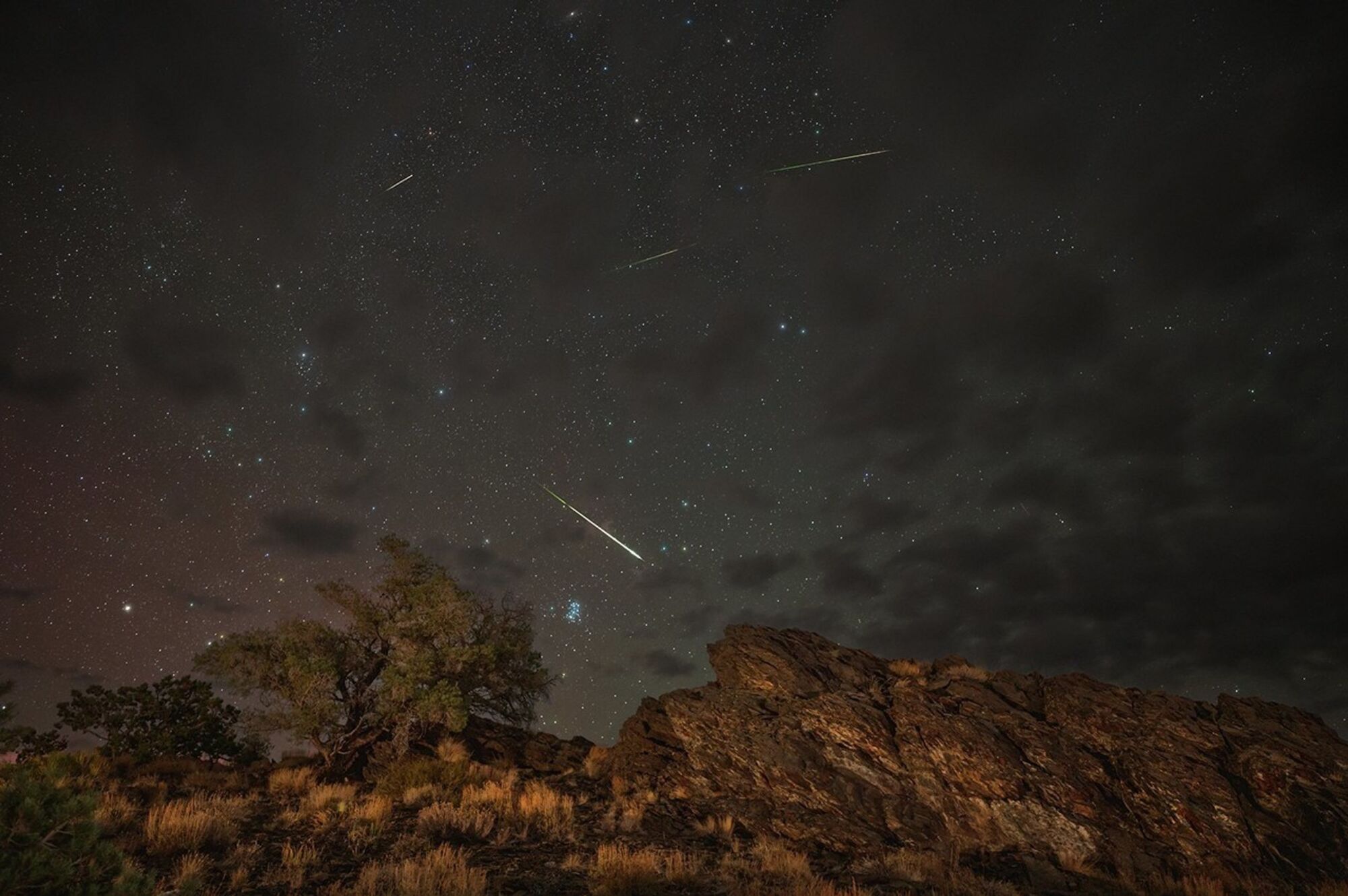 Perseids meteors streaking across the sky