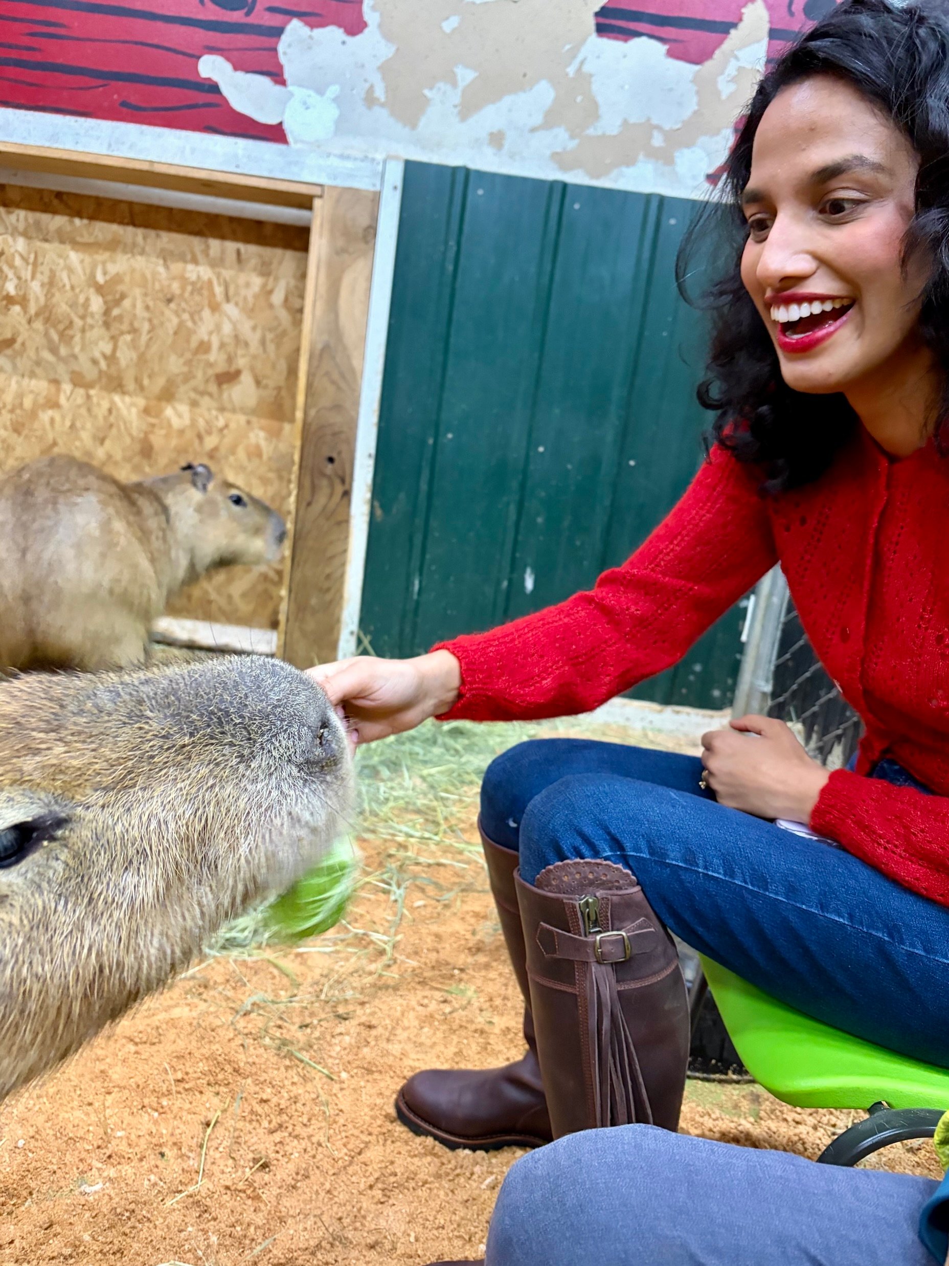 Sukhie Patel's lipstick trick